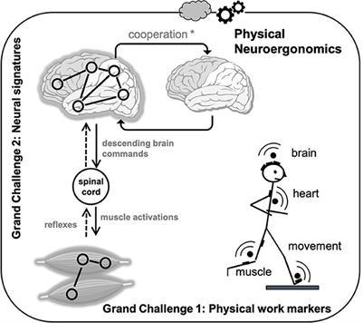 Grand challenges in physical neuroergonomics